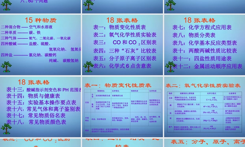 中考化学 制胜策略复习课件