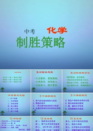 中考化学 制胜策略复习课件