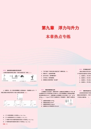 八年级物理下册 第9章 浮力与升力本章热点专练课件 (新版)粤教沪版 课件