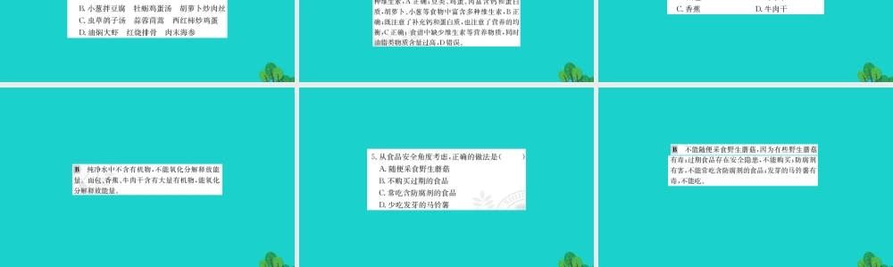 七年级生物下册 4.2.3 合理营养与食品安全习题课件(新版)新人教版 课件