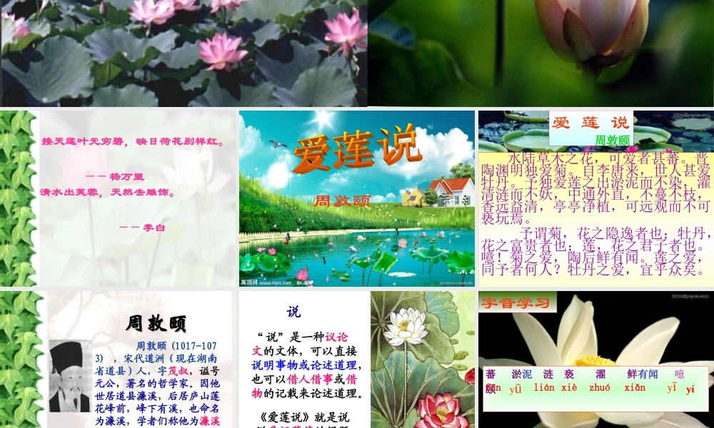 《爱莲说》课件