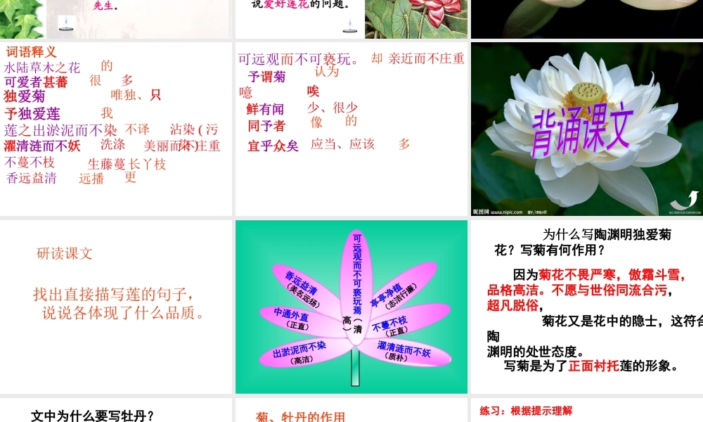 《爱莲说》课件