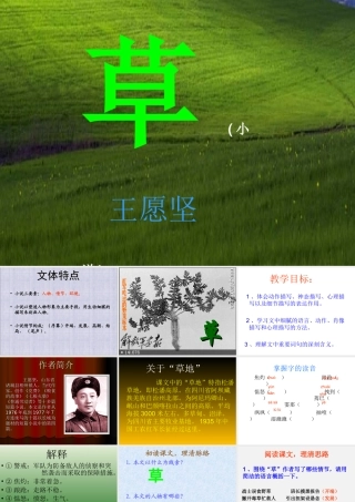 《草》课件（28页）