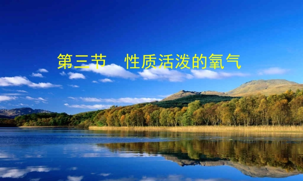 八年级化学 第四单元 第三节 性质活泼的氧气课件 鲁教版五四制 课件