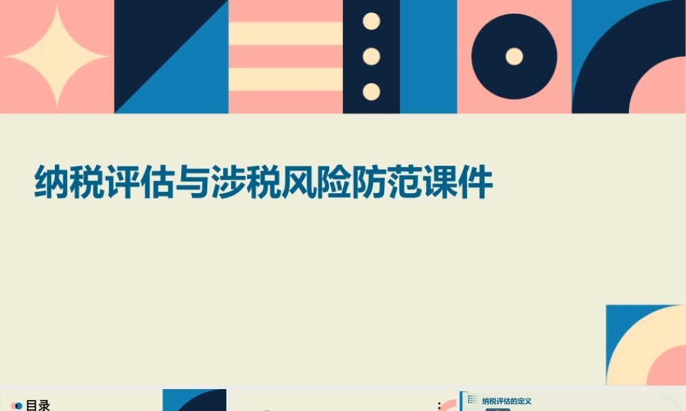 纳税评估与涉税风险防范课件