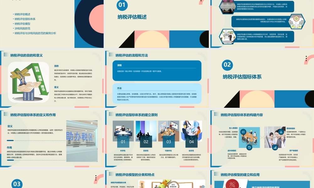 纳税评估与涉税风险防范课件