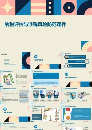 纳税评估与涉税风险防范课件
