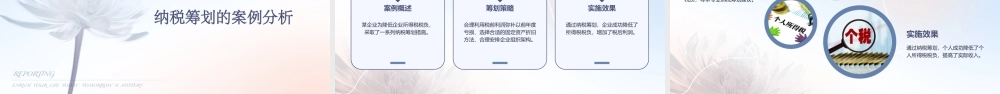 纳税筹划的基本技巧修改课件