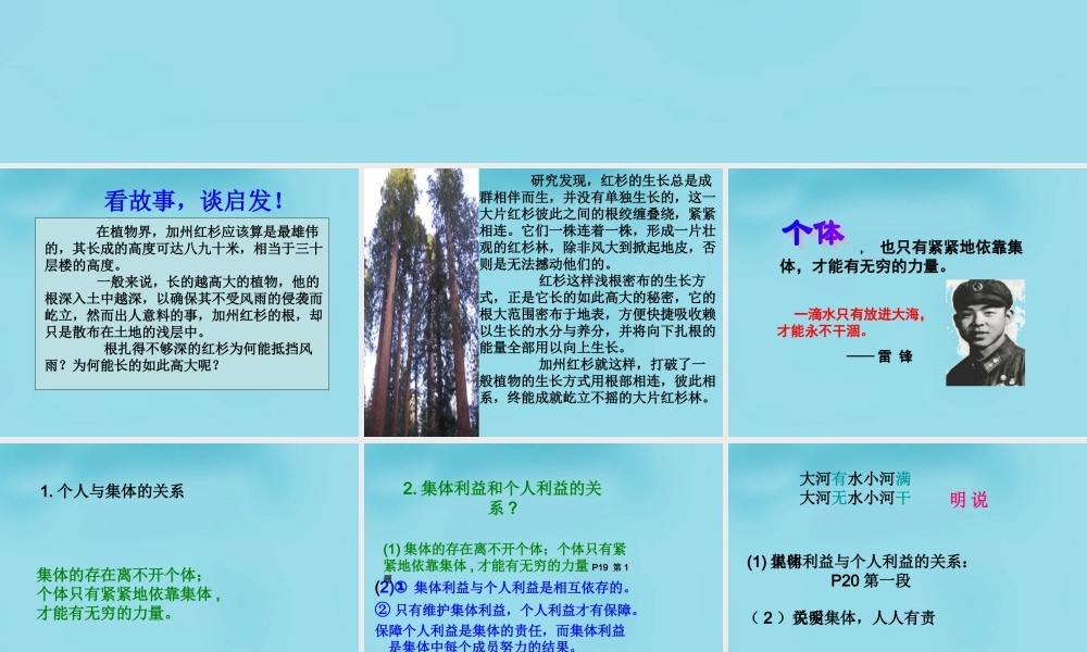 九年级政治全册 21 承担关爱集体的责任课件 新人教版 课件