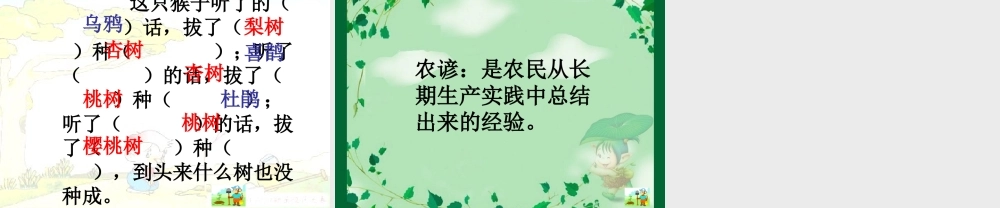 猴子种果树的课件