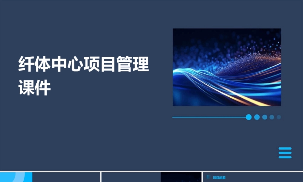 纤体中心项目管理课件