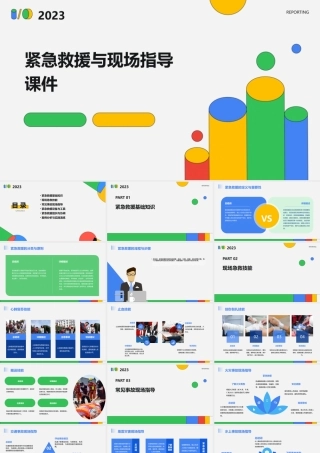 紧急救援与现场指导课件