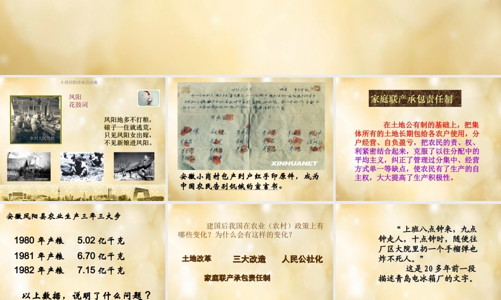 八年级历史下册 第8课 改革开放课件 中华书局版 课件