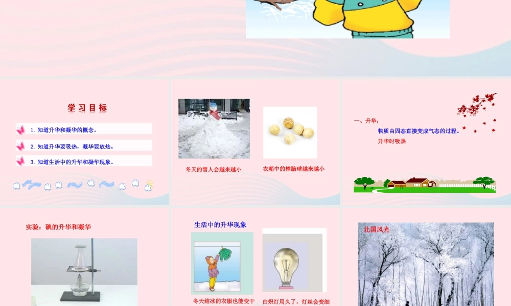 九年级物理全册 第十二章 第四节 升华与凝华课件 (新版)沪科版 九年级物理全册 第十二章 第四节 升华与凝华课件+素材(新版)沪科版-2