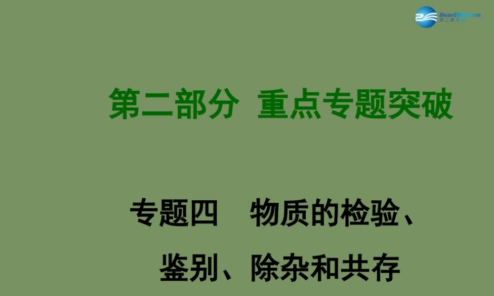中考化学 专题复习四 物质的检验、鉴别、除杂和共存课件