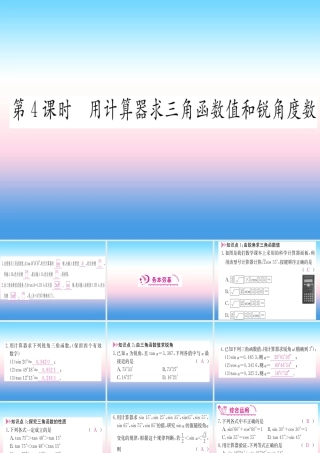 九年级数学下册 第28章 锐角三角函数 281 锐角三角函数 第4课时 用计算器求三角函数和锐角度数课堂导练课件(含中考真题)(新版)新人教版 课件