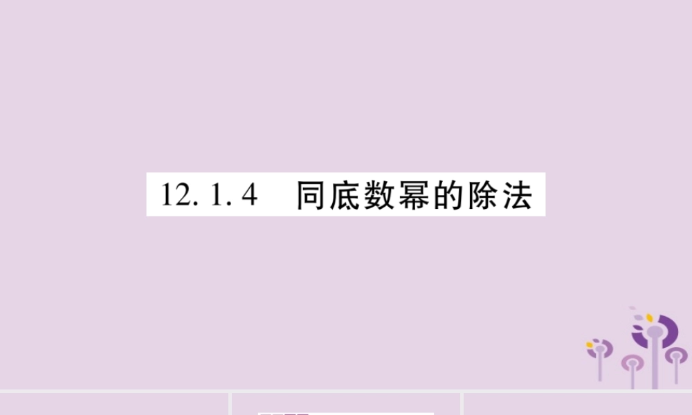 八年级数学上册 第12章 整式的乘除 12.1 幂的运算 12.1.4 同底数幂的除法作业课件 (新版)华东师大版 课件