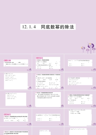 八年级数学上册 第12章 整式的乘除 12.1 幂的运算 12.1.4 同底数幂的除法作业课件 (新版)华东师大版 课件