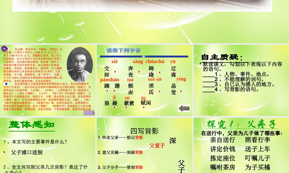 八年级语文上册 第三单元 11 背影课件1 (新版)苏教版 课件