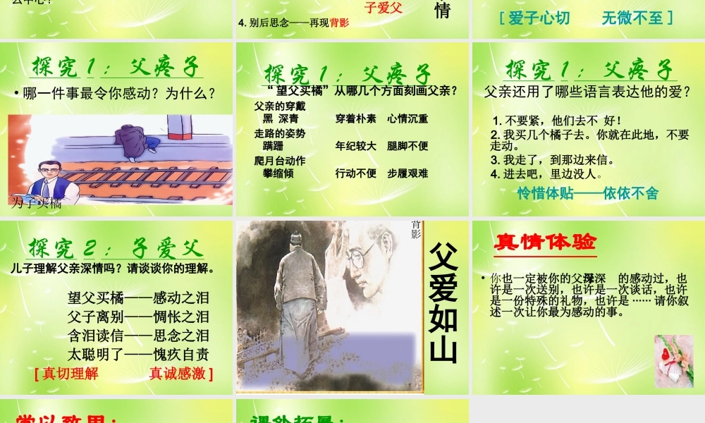 八年级语文上册 第三单元 11 背影课件1 (新版)苏教版 课件