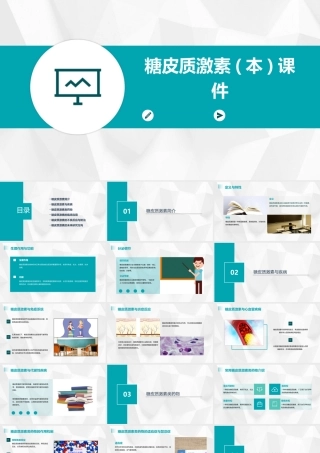 糖皮质激素(本)课件