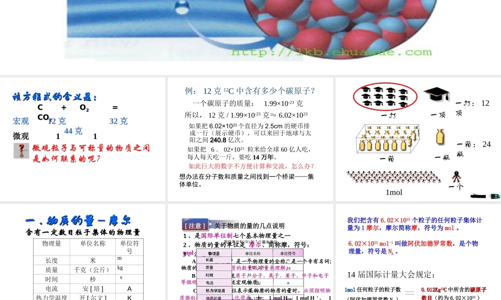 第二节化学计量在实验中的应用
