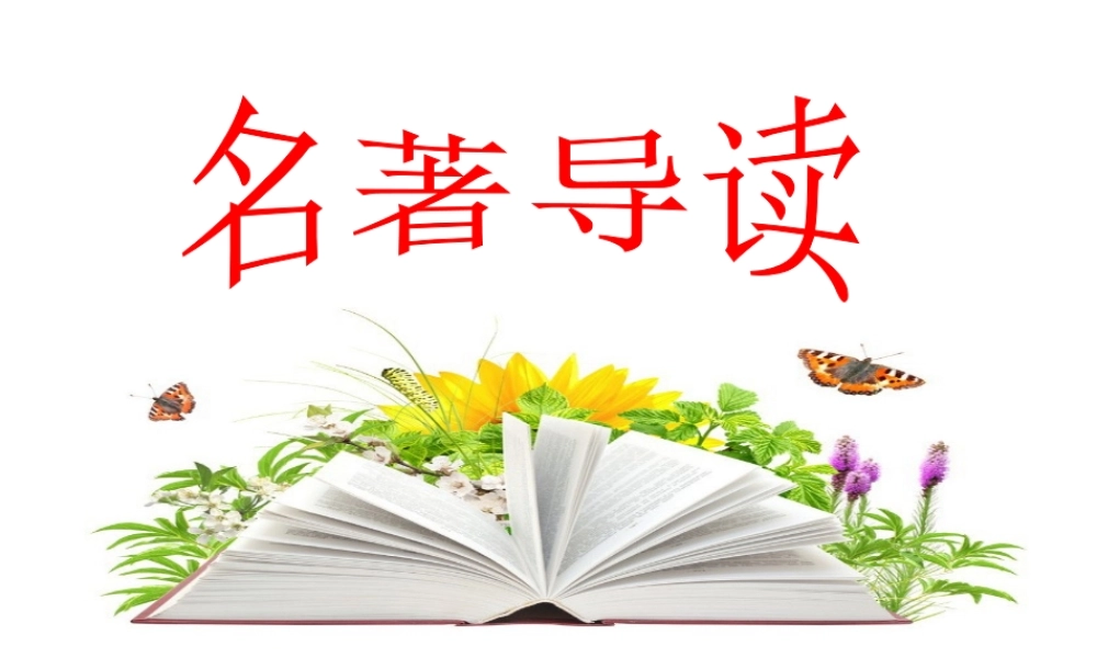长袜子皮皮（绘本）