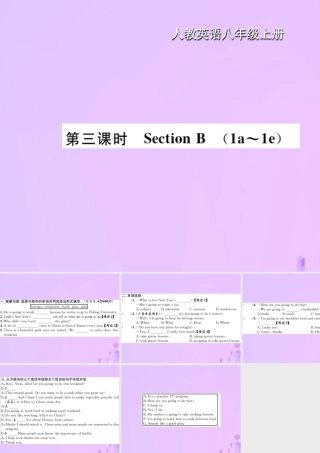 八年级英语上册 Unit 6 I am going to study computer science(第3课时)Section B习题课件 (新版)人教新目标版 课件