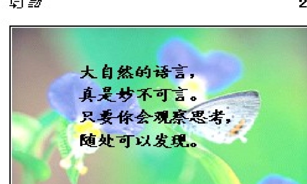 七年级语文下册 第19课(大自然的语言)课件 鲁教版  课件