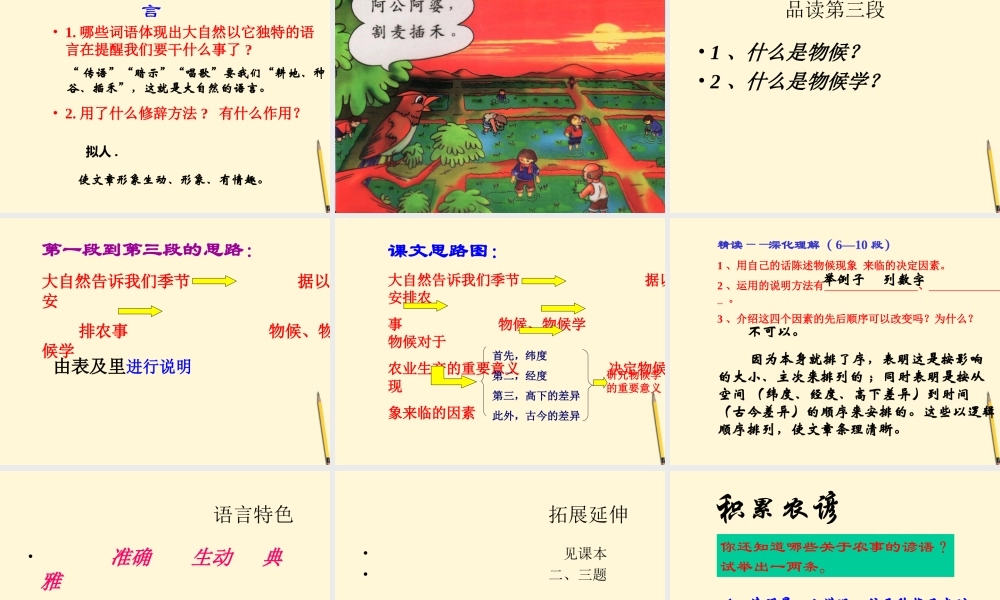 七年级语文下册 第19课(大自然的语言)课件 鲁教版  课件