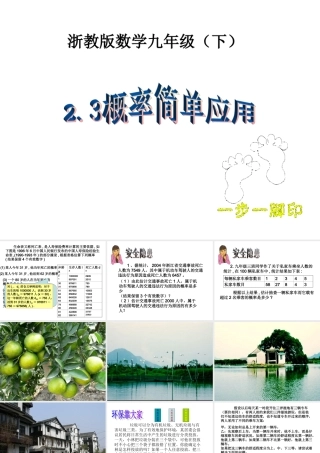 九年级数学下册 23(概率的简单应用)课件 浙教版 课件
