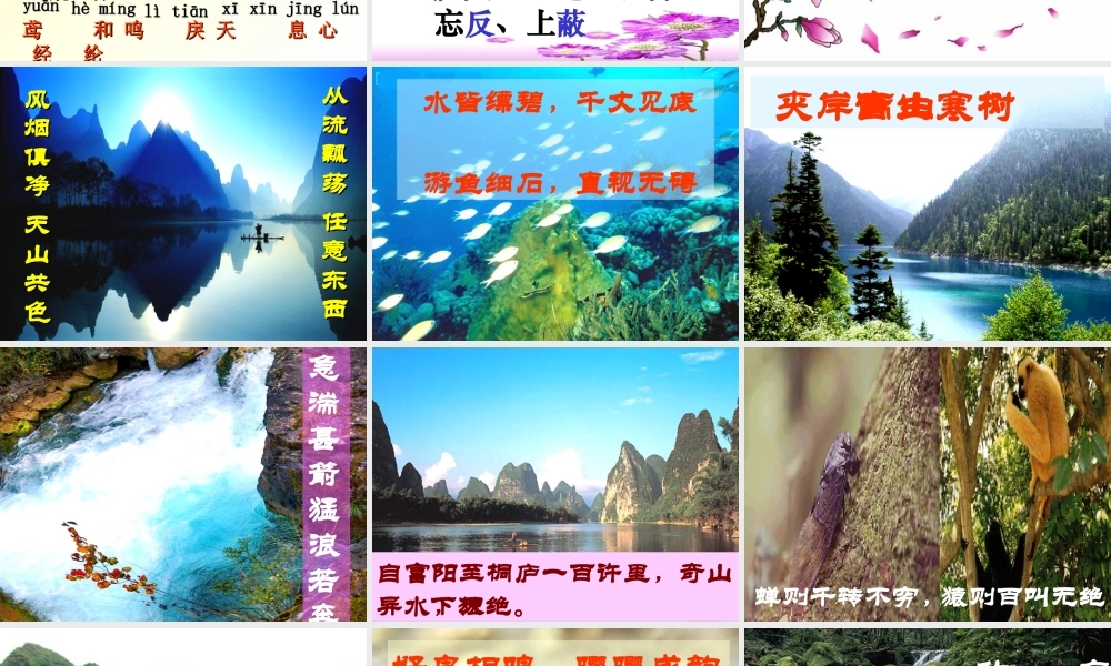 九年级语文苏教版上册 与朱元思书 PPT 课件