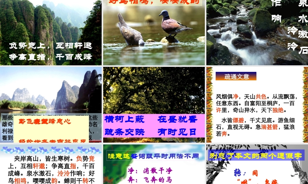 九年级语文苏教版上册 与朱元思书 PPT 课件