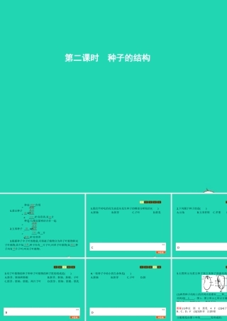 八年级生物上册 第四单元 第一章 第三节 果实与种子的形成(第2课时 种子的结构)课件 (新版)济南版 课件