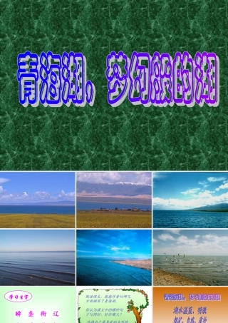 八年级语文青海湖 梦幻般的湖课堂演示 语文版 课件