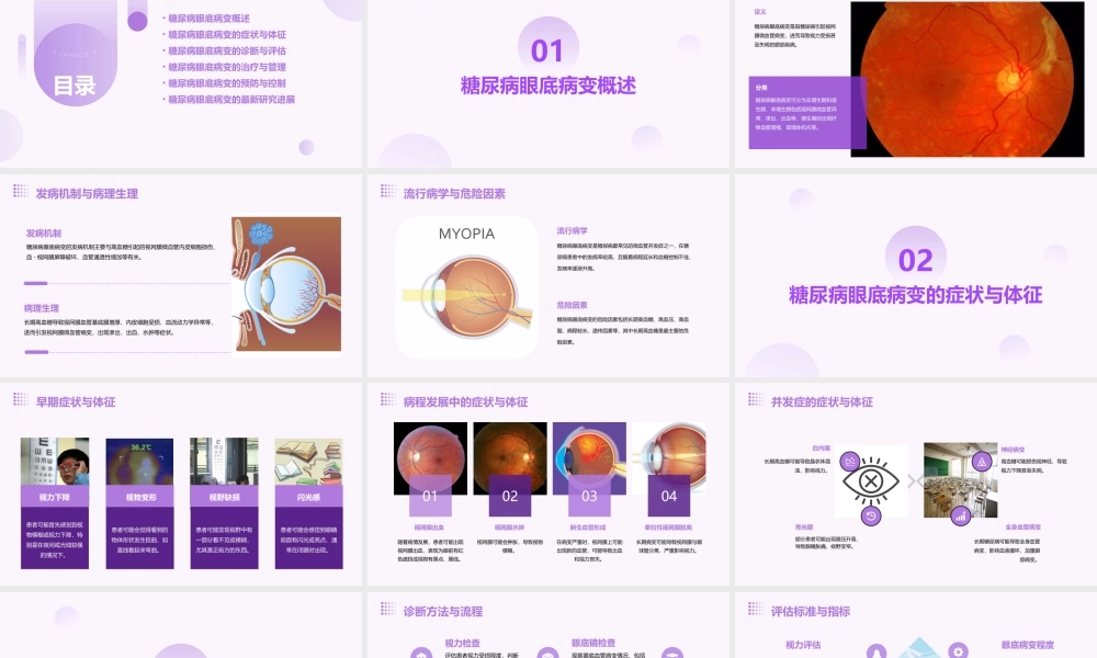 糖尿病眼底病变张承芬课件