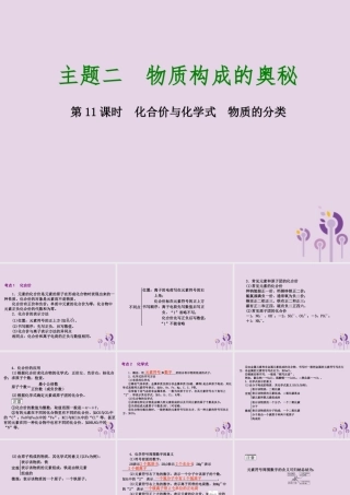 中考化学专题复习 第11课时 化合价与化学式 物质的分类课件 新人教版 课件