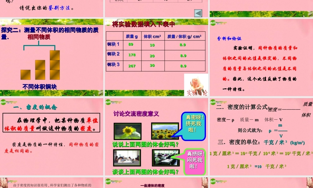 九年级物理 第十一章多彩的物质世界 三( 密度)课件 人教新课标版 课件