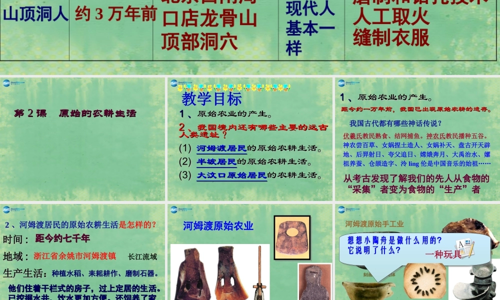 中学七年级历史上册 第2课 原始的农耕生活课件 (新版)新人教版 课件