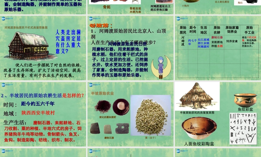 中学七年级历史上册 第2课 原始的农耕生活课件 (新版)新人教版 课件