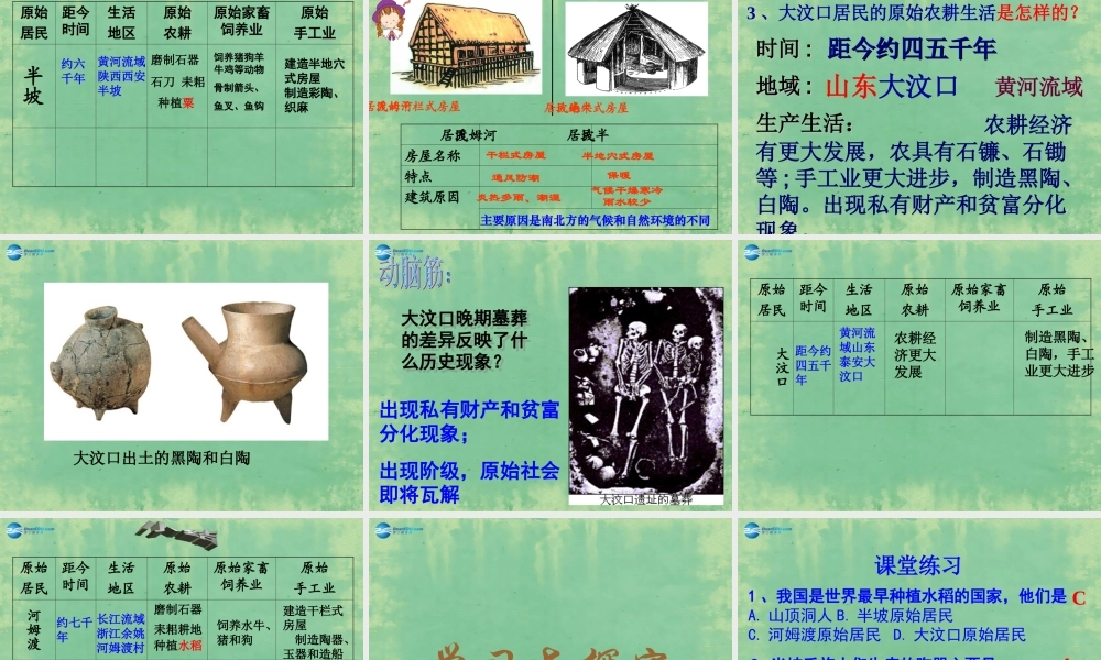 中学七年级历史上册 第2课 原始的农耕生活课件 (新版)新人教版 课件