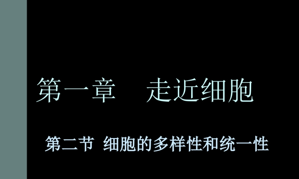 生物高中必修1第一章第二节课件3