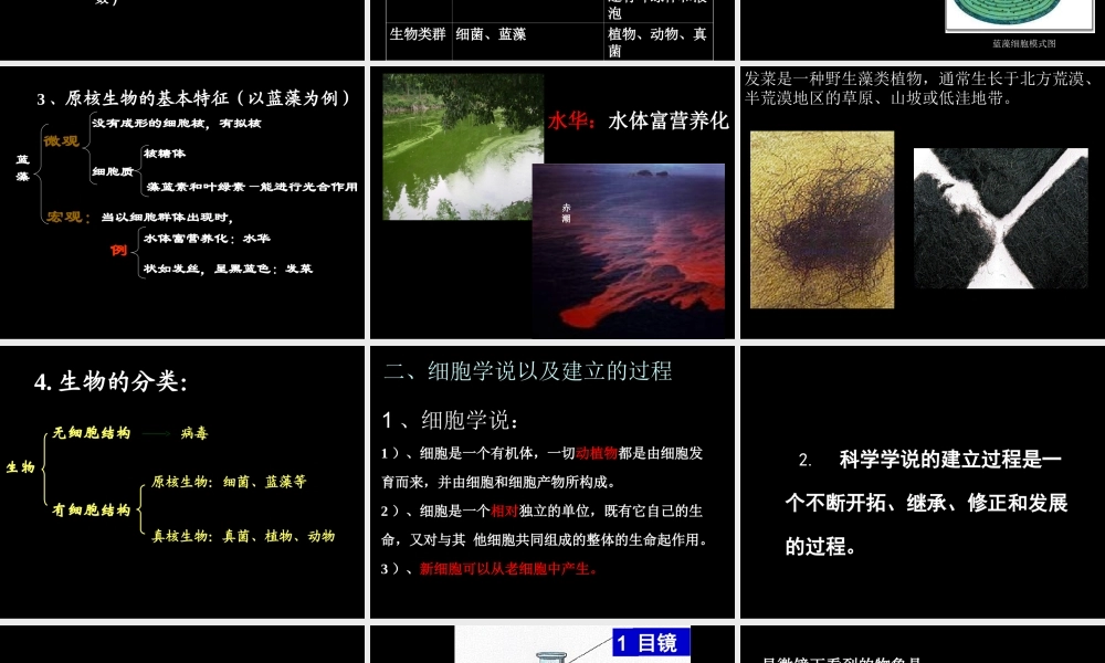 生物高中必修1第一章第二节课件3