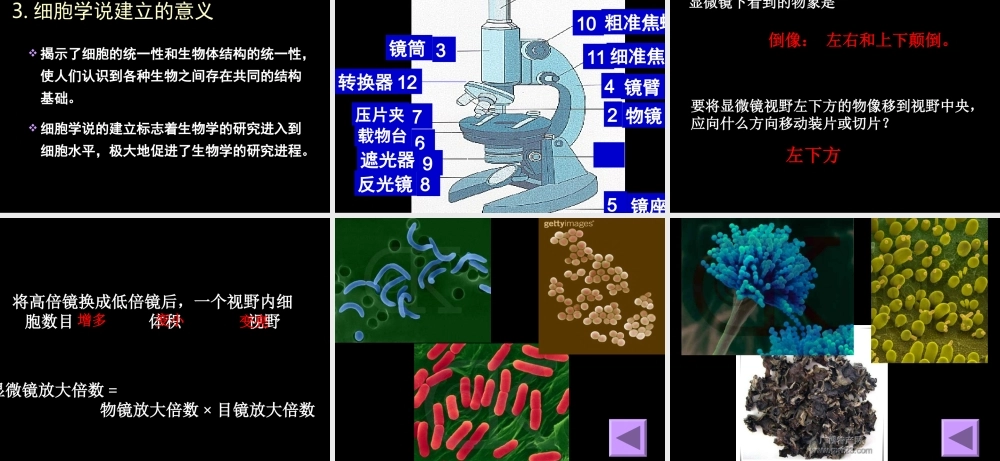 生物高中必修1第一章第二节课件3