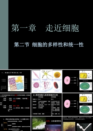 生物高中必修1第一章第二节课件3