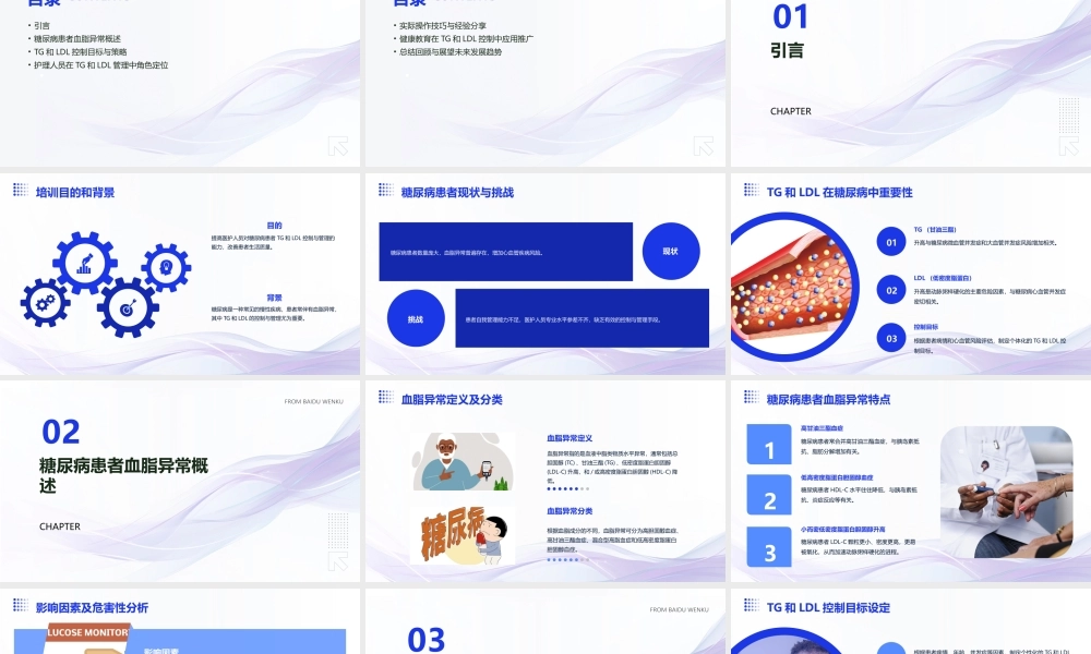 糖尿病患者的TG和LDL控制与管理护理培训