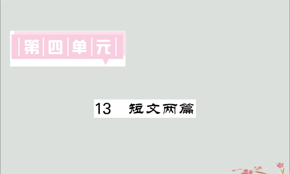 九年级语文下册 第四单元 13(短文两篇)课堂过关演练课件 新人教版 课件
