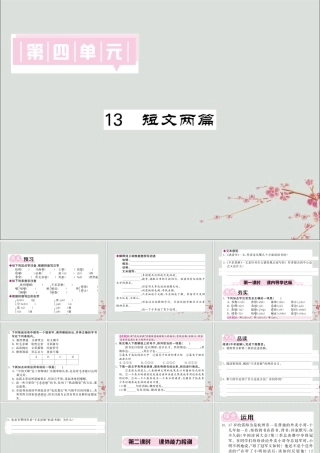 九年级语文下册 第四单元 13(短文两篇)课堂过关演练课件 新人教版 课件