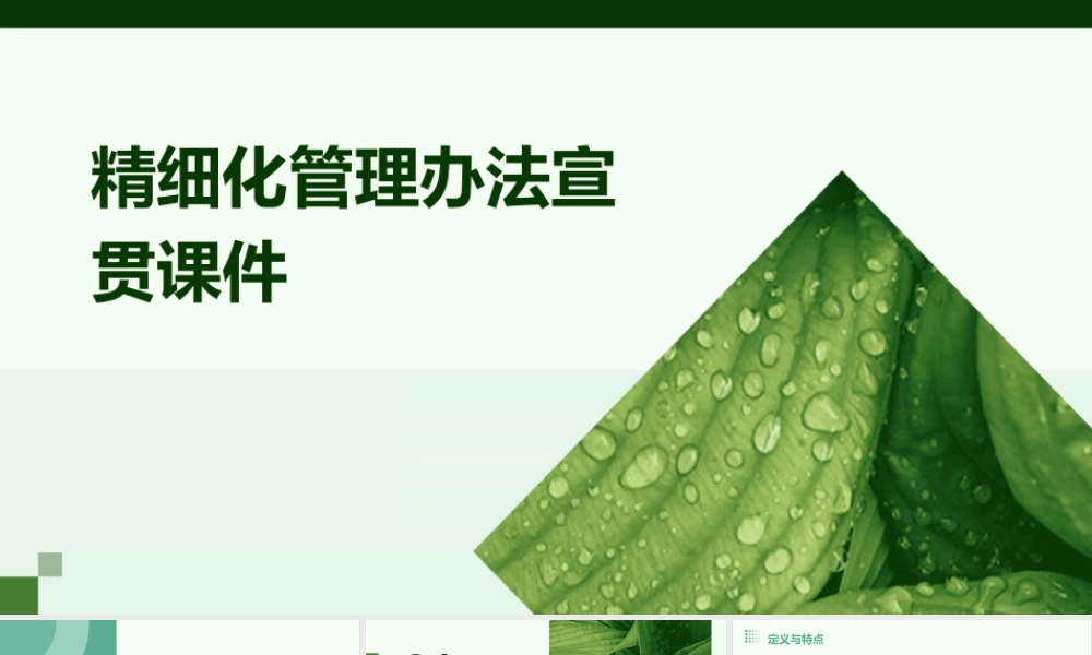 精细化管理办法宣贯(谢)课件