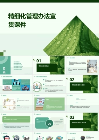 精细化管理办法宣贯(谢)课件